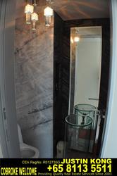 St. Regis Residences (D10), Apartment #75698962
